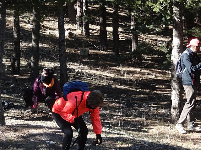 El club senderista de Totana celebr el 