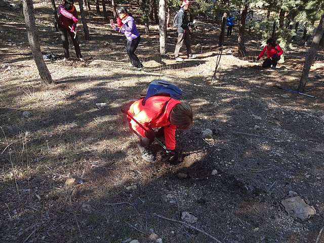 El club senderista de Totana celebr el 