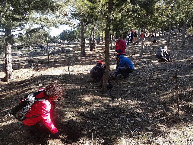 El club senderista de Totana celebr el 
