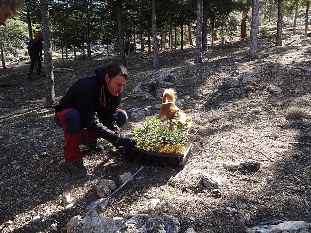 El club senderista de Totana celebr el 