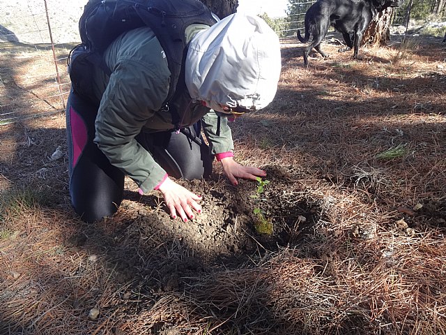 El club senderista de Totana celebr el 