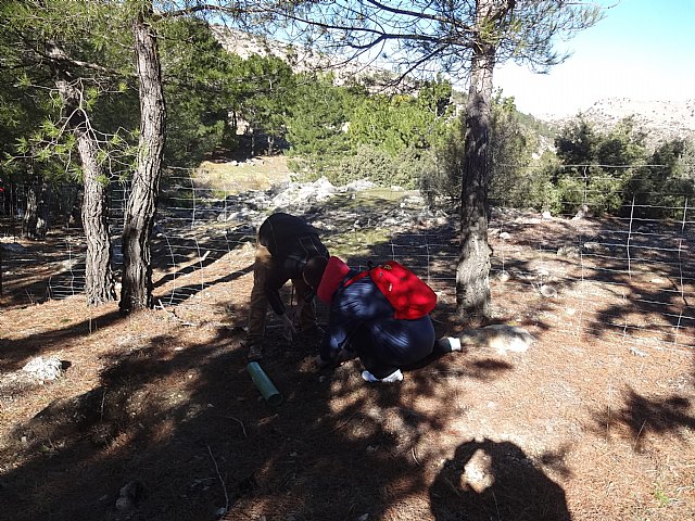 El club senderista de Totana celebr el 