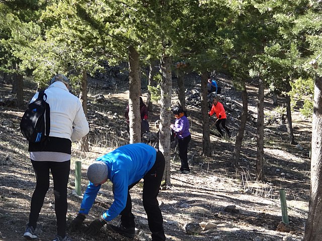 El club senderista de Totana celebr el 