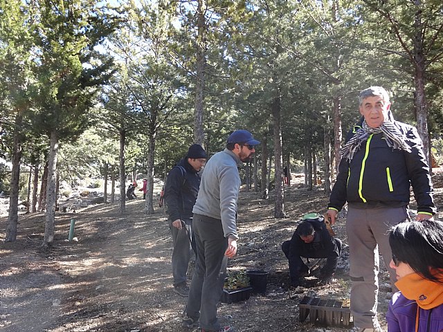 El club senderista de Totana celebr el 