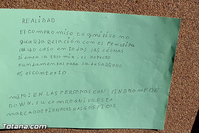 Da Internacional de la Discapacidad  - 116