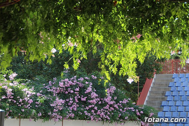 Da Mundial de la Salud Mental 2019 - 61