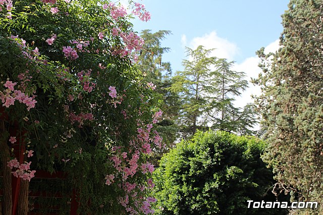 Da Mundial de la Salud Mental 2019 - 75