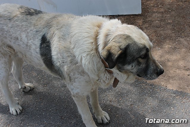 Jornada de convivencia Hermandad de la Dolorosa 2019 - 14