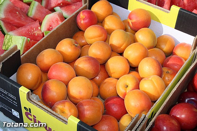 Dragn Challenge 2016 - 197