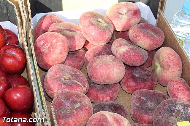 Dragn Challenge 2016 - 199