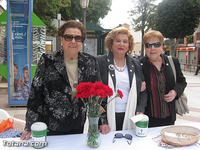 Domingo de Ramos (Convento). Semana Santa 2013 - 135