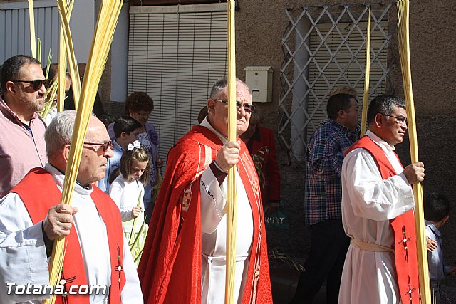 Fotografias Procesin Domingo de Ramos 2014 - Ermita de San Roque - Convento - 35