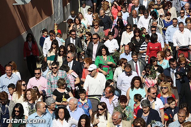 Fotografias Procesin Domingo de Ramos 2014 - Ermita de San Roque - Convento - 67