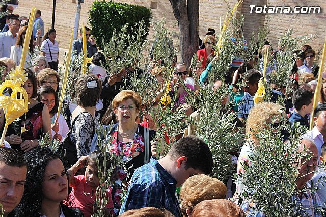 Procesin Domingo de Ramos 2014 - Parroquia Santiago - 69