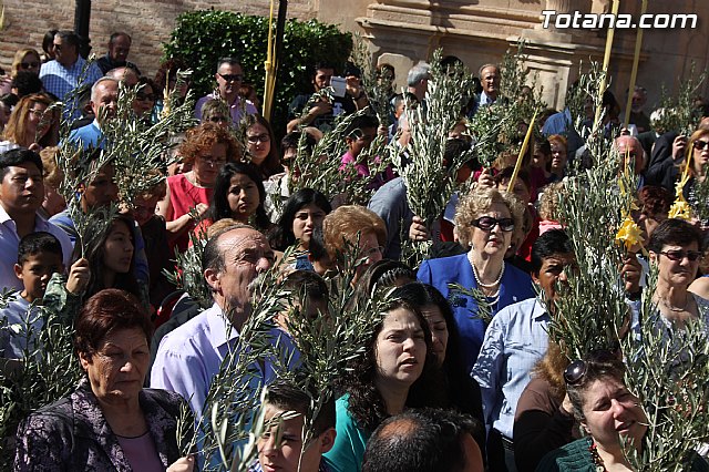 Procesin Domingo de Ramos 2014 - Parroquia Santiago - 70