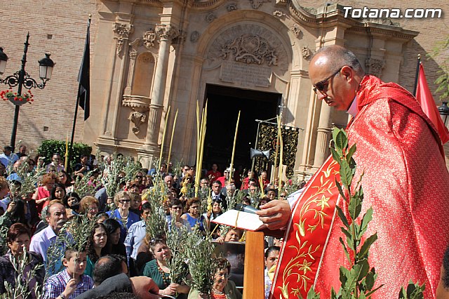 Procesin Domingo de Ramos 2014 - Parroquia Santiago - 71