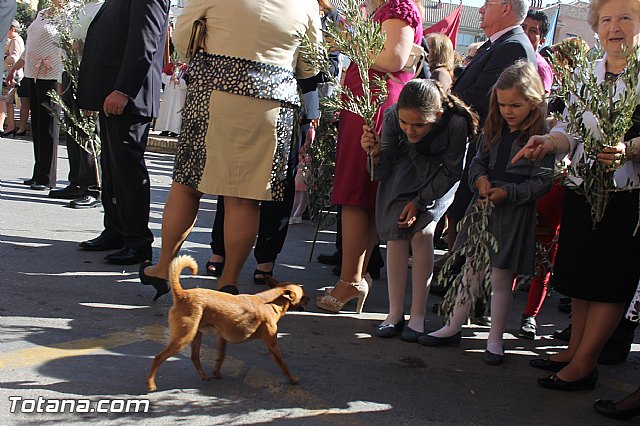 Procesin Domingo de Ramos 2014 - Parroquia Santiago - 103