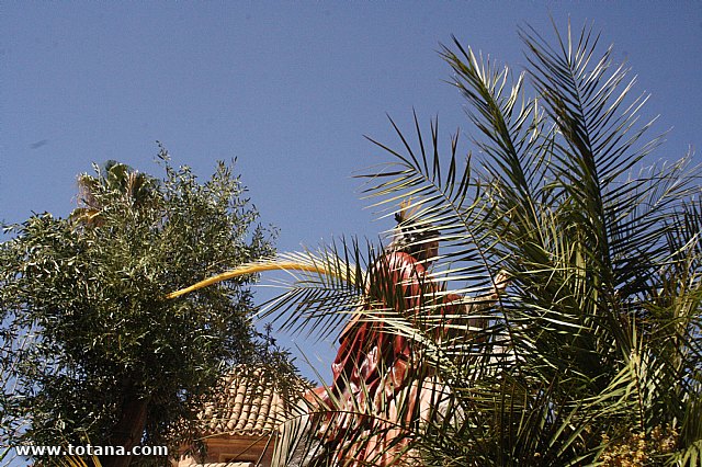 Procesin Domingo de Ramos 2014 - Parroquia Santiago - 356