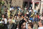 procesion de las palmas