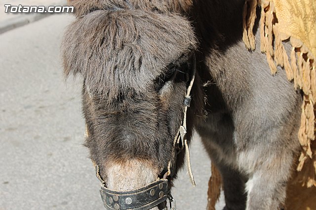 Domingo de Ramos - Procesin San Roque, Convento  - Semana Santa 2015  - 233