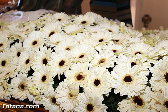 Domingo de Ramos - Procesin Iglesia Santiago - Semana Santa 2015 - 10