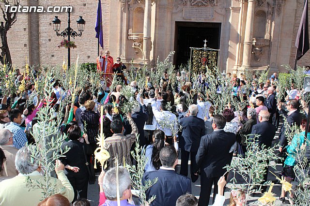 Domingo de Ramos - Procesin Iglesia Santiago - Semana Santa 2015 - 24