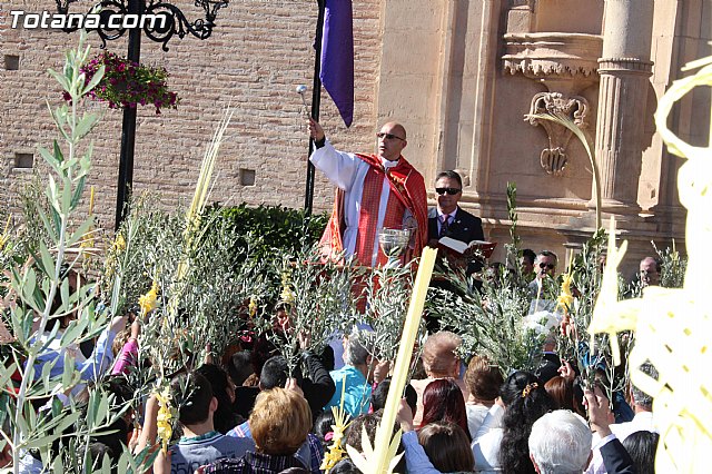 Domingo de Ramos - Procesin Iglesia Santiago - Semana Santa 2015 - 30