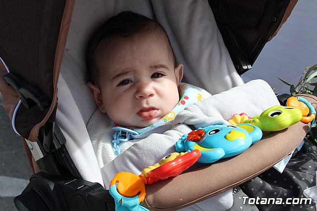 Procesin Domingo de Ramos (Parroquia de Santiago) - Semana Santa 2018 - 217