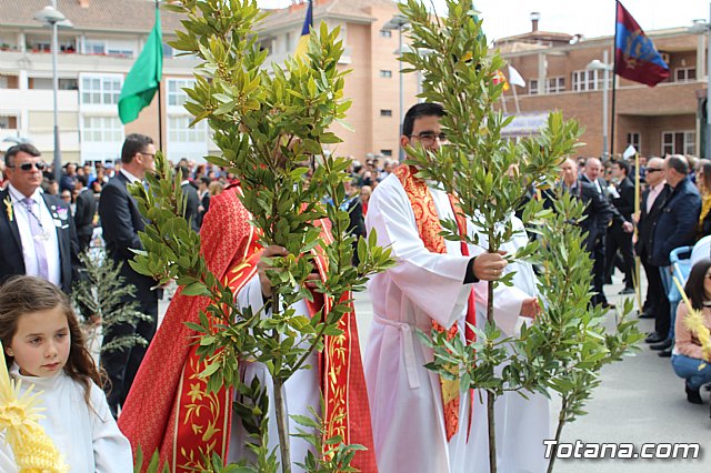 Procesin Domingo de Ramos (Parroquia de Santiago) - Semana Santa 2018 - 416