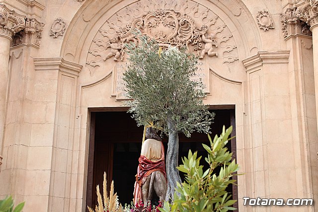 Procesin Domingo de Ramos (Parroquia de Santiago) - Semana Santa 2018 - 435