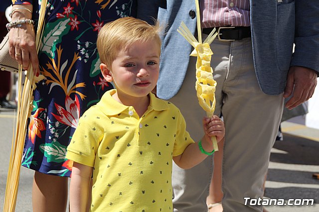 Domingo de Ramos - Procesin Iglesia de Santiago - Semana Santa de Totana 2019 - 398