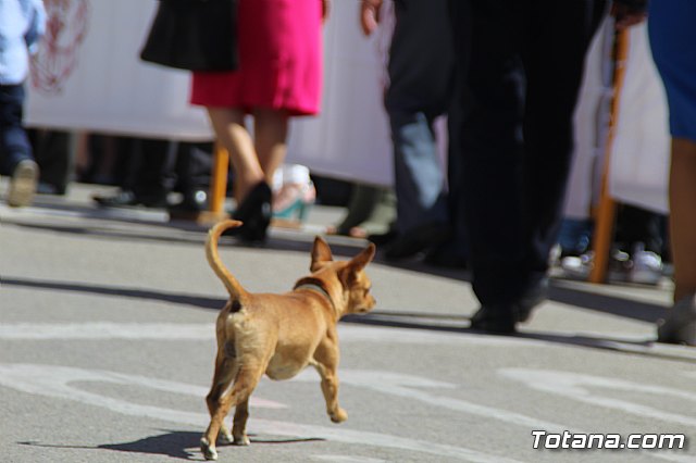 Domingo de Ramos - Procesin Iglesia de Santiago - Semana Santa de Totana 2019 - 404
