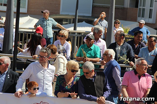 Domingo de Ramos - Procesin Iglesia de Santiago - Semana Santa de Totana 2019 - 489