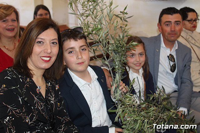 Domingo de Ramos - Procesin San Roque, Convento - Semana Santa de Totana 2019 - 37