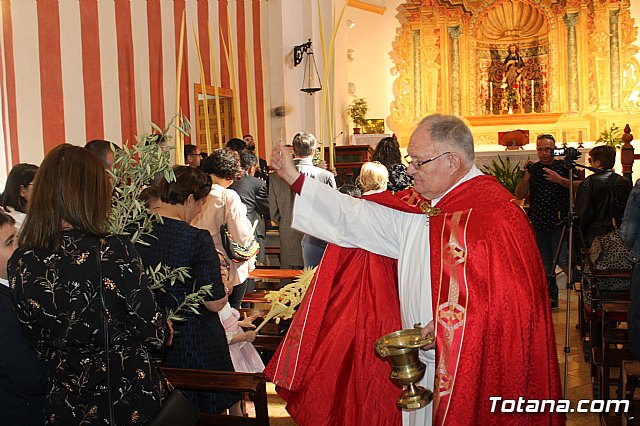 Domingo de Ramos - Procesin San Roque, Convento - Semana Santa de Totana 2019 - 57