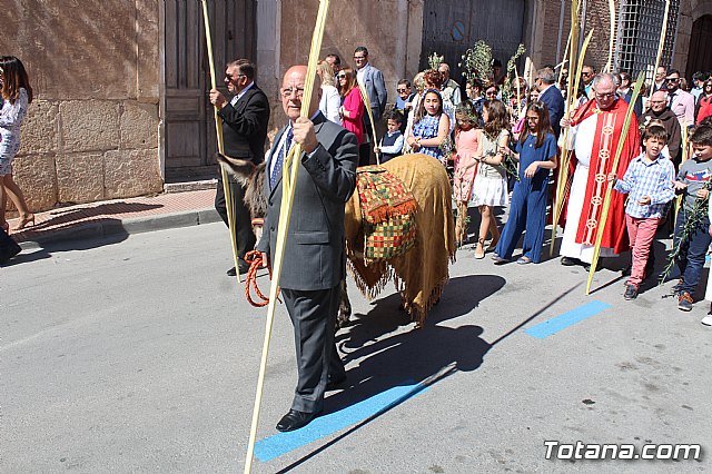 Domingo de Ramos - Procesin San Roque, Convento - Semana Santa de Totana 2019 - 171