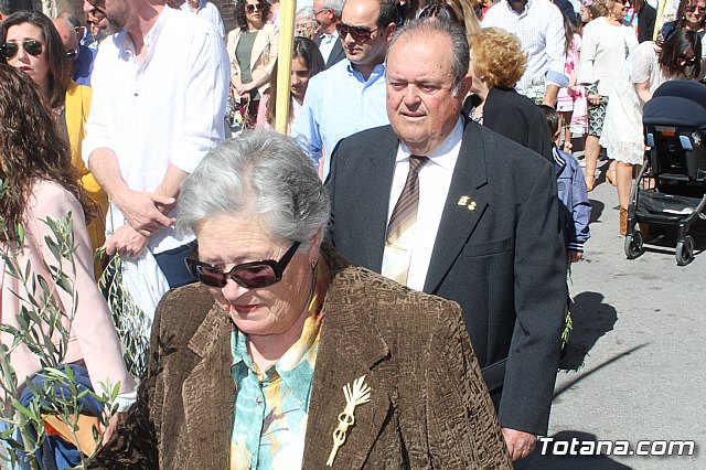 Domingo de Ramos - Procesin San Roque, Convento - Semana Santa de Totana 2019 - 188