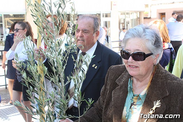 Domingo de Ramos - Procesin San Roque, Convento - Semana Santa de Totana 2019 - 222