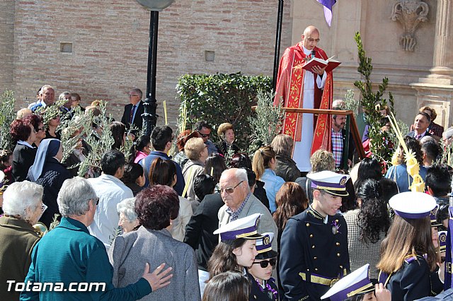 Domingo de Ramos - Procesin Iglesia Santiago - Semana Santa 2016 - 8