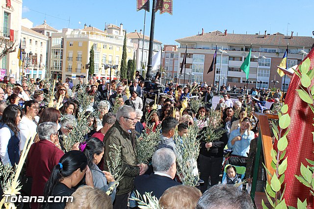 Domingo de Ramos - Procesin Iglesia Santiago - Semana Santa 2016 - 21