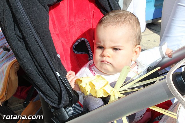Domingo de Ramos - Procesin Iglesia Santiago - Semana Santa 2016 - 43