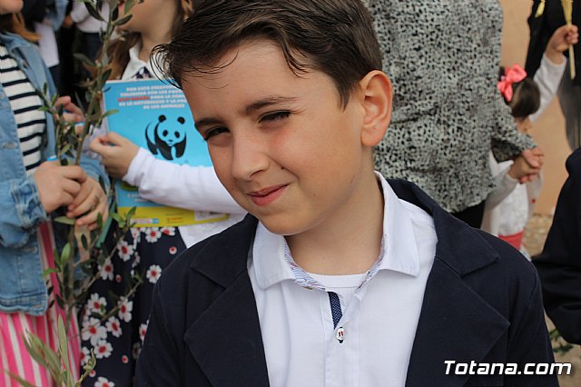 Domingo de Ramos - Procesin San Roque, Convento - Semana Santa 2017 - 50