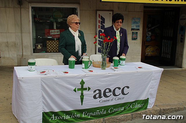 Domingo de Ramos - Procesin Iglesia Santiago - Semana Santa 2017 - 3