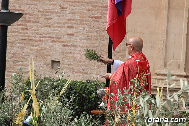 Domingo de Ramos - Procesin Iglesia Santiago - Semana Santa 2017 - 36