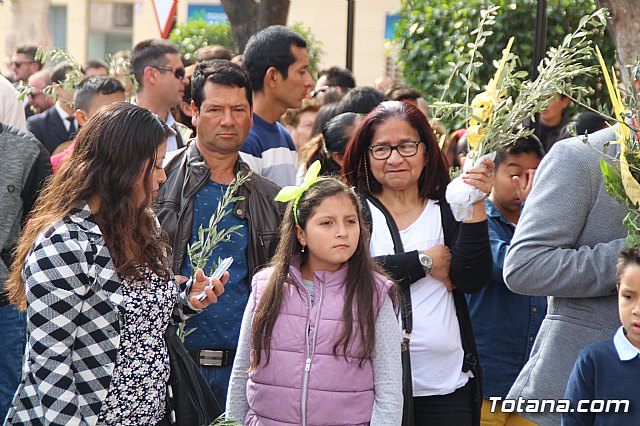 Domingo de Ramos - Procesin Iglesia Santiago - Semana Santa 2017 - 71