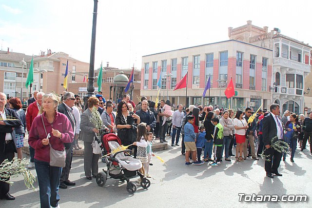 Domingo de Ramos - Procesin Iglesia Santiago - Semana Santa 2017 - 77