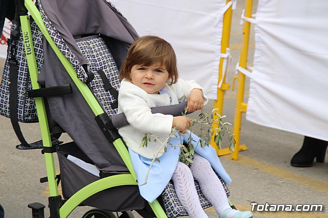 Domingo de Ramos - Procesin Iglesia Santiago - Semana Santa 2017 - 199
