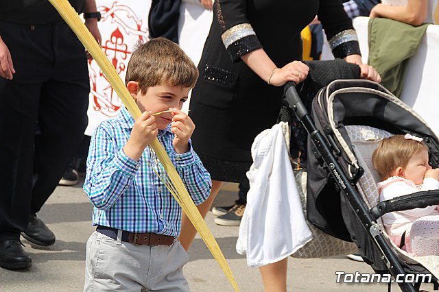 Domingo de Ramos - Procesin Iglesia Santiago - Semana Santa 2017 - 244