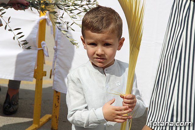 Domingo de Ramos - Procesin Iglesia Santiago - Semana Santa 2017 - 269