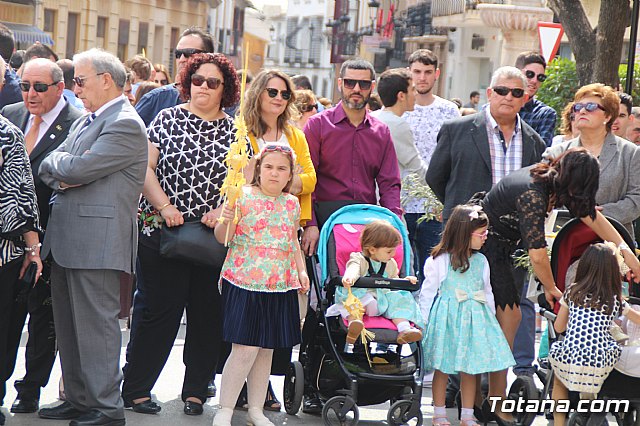 Domingo de Ramos - Procesin Iglesia Santiago - Semana Santa 2017 - 351